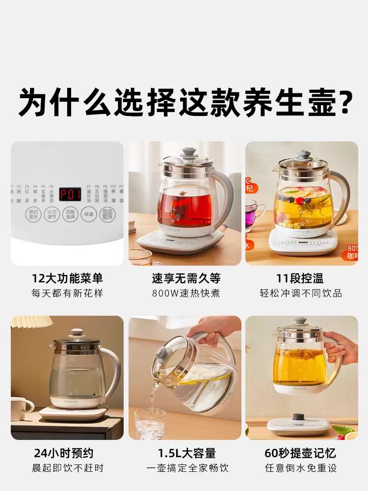 国货九阳养生壶 (带茶漏+煮蛋架) 型号WY155