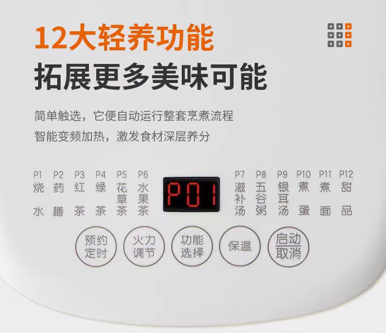 国货九阳养生壶 (带茶漏+煮蛋架) 型号WY155