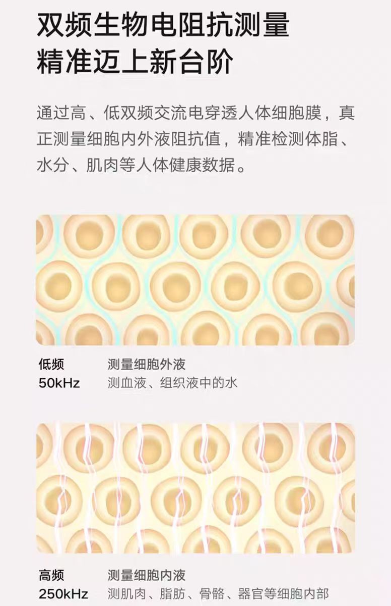 小米体脂秤S400