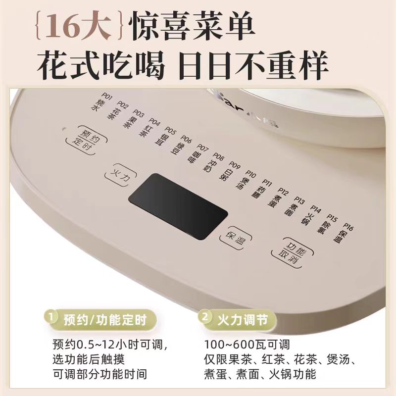 国货小熊316养生壶1.5L 带滤网 型号:YSH-E15Q7