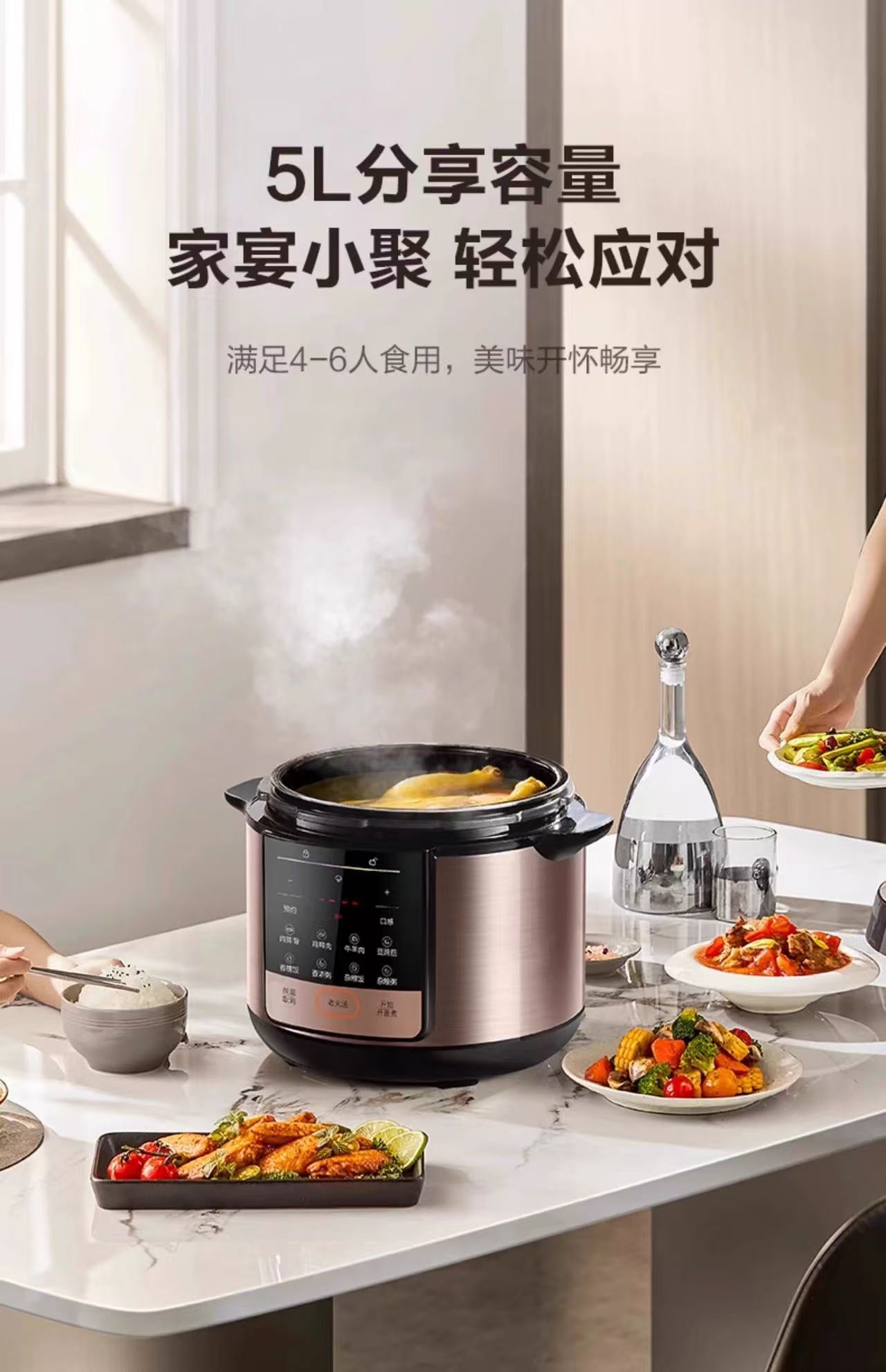 苏泊尔电压力锅5L双胆 型号：SY-50YC5013