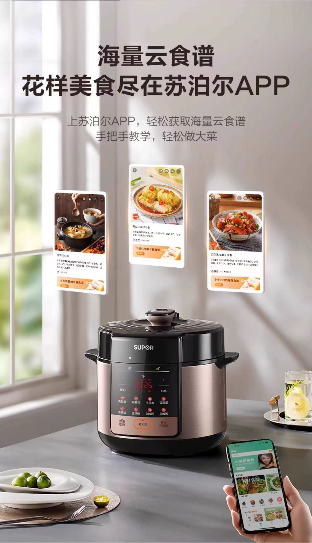 苏泊尔电压力锅5L双胆 型号：SY-50YC5013