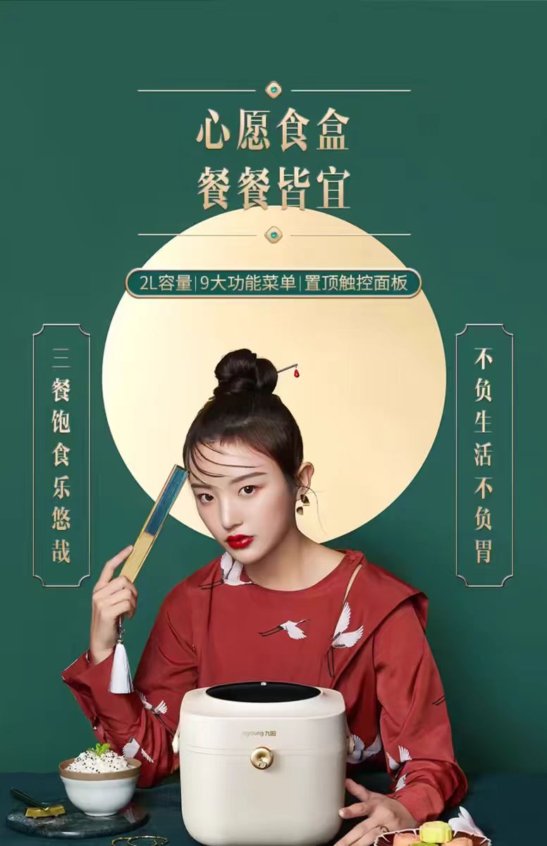 国货九阳电饭煲2L  型号：F20FZ-F13