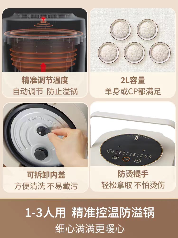 国货九阳电饭煲2L  型号：F20FZ-F13