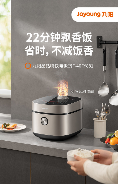 九阳电饭煲4L 深空灰F-40FY881