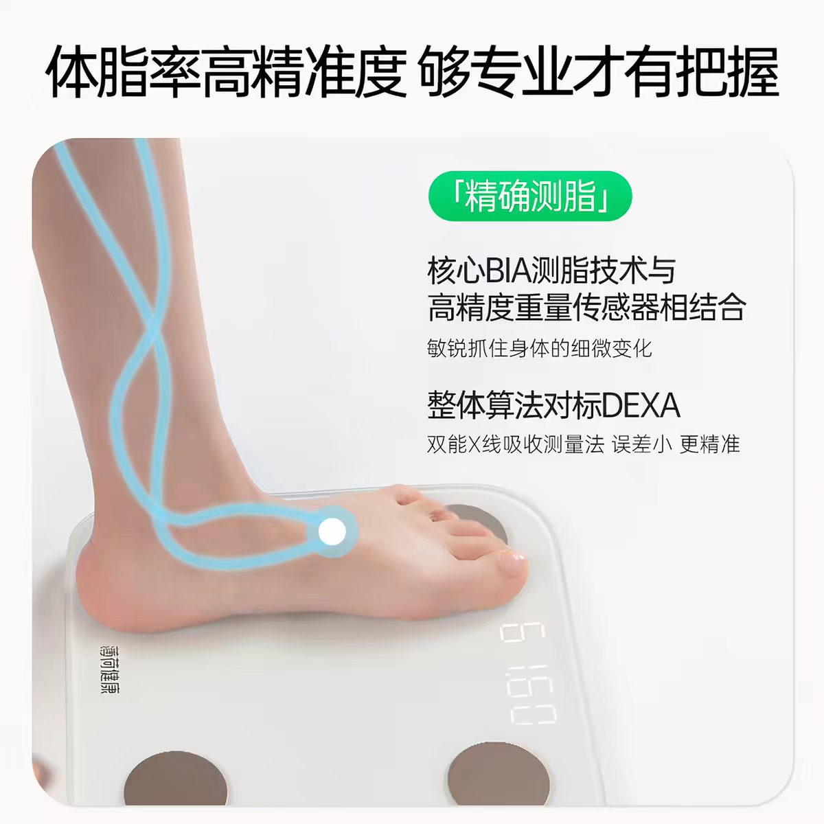 薄荷健康萌兰体脂秤-萌兰出逃