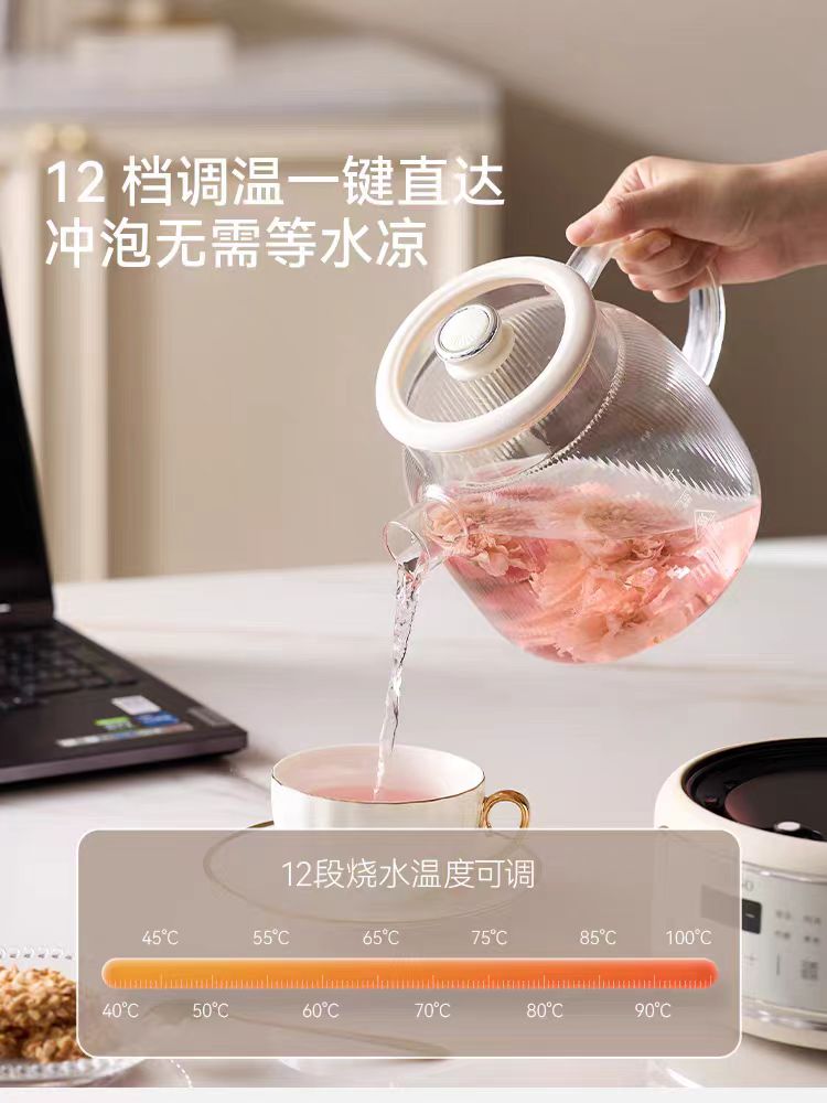 七彩叮当全玻璃养生壶1.2L (全玻璃茶漏+炖盅) 型号：QC-YSH06-DL